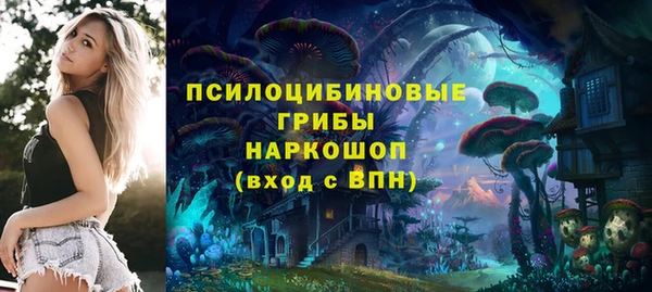 винт Няндома