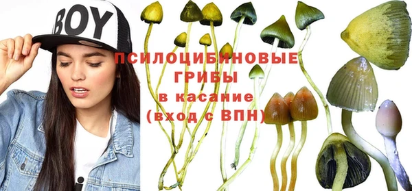 винт Няндома