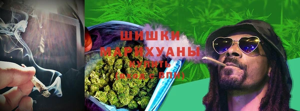 крисы Нягань