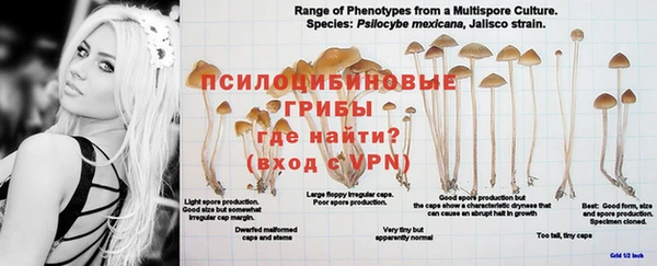 крисы Нягань