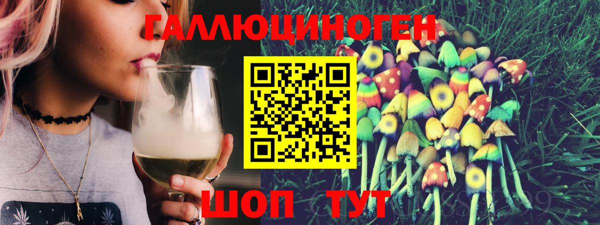 Псилоцибиновые грибы Psilocybine cubensis Североморск